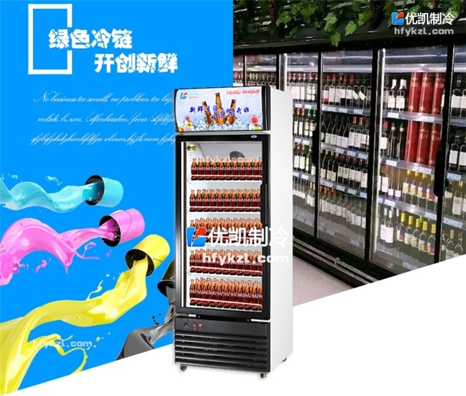 BL-A2單門風冷飲料柜