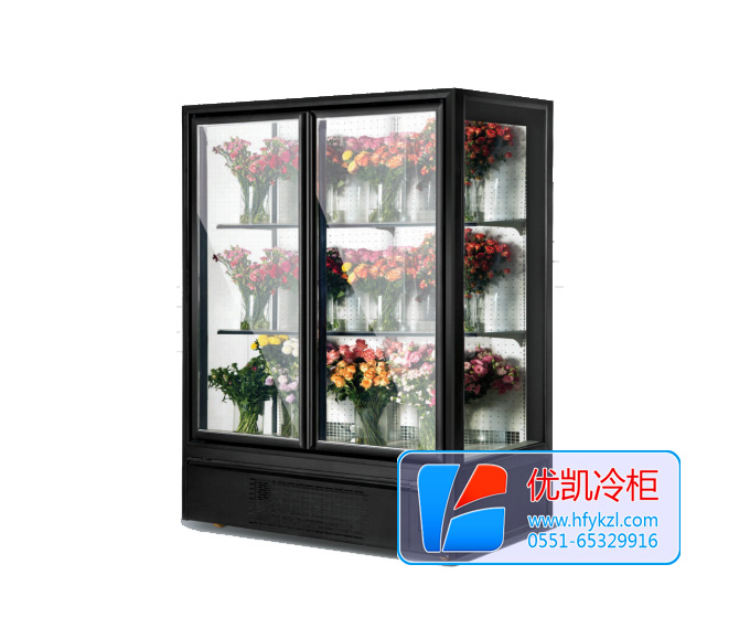 風(fēng)冷玻璃門(mén)鮮花柜