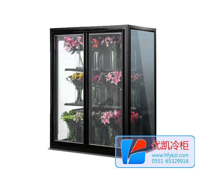 風(fēng)冷鮮花保鮮柜